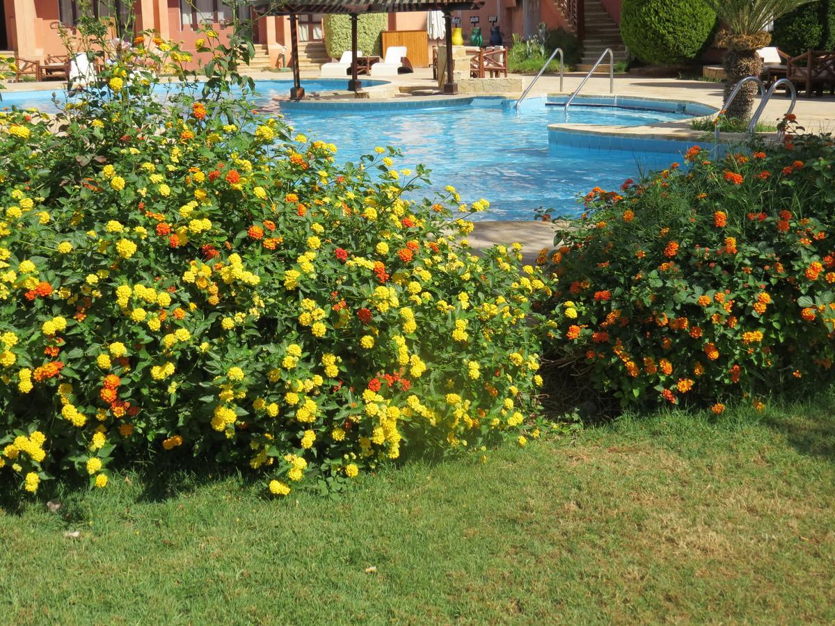 Africana Hotel & Spa Qaryat Shakush Exterior photo